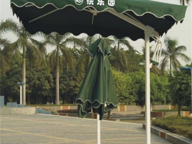 伞类